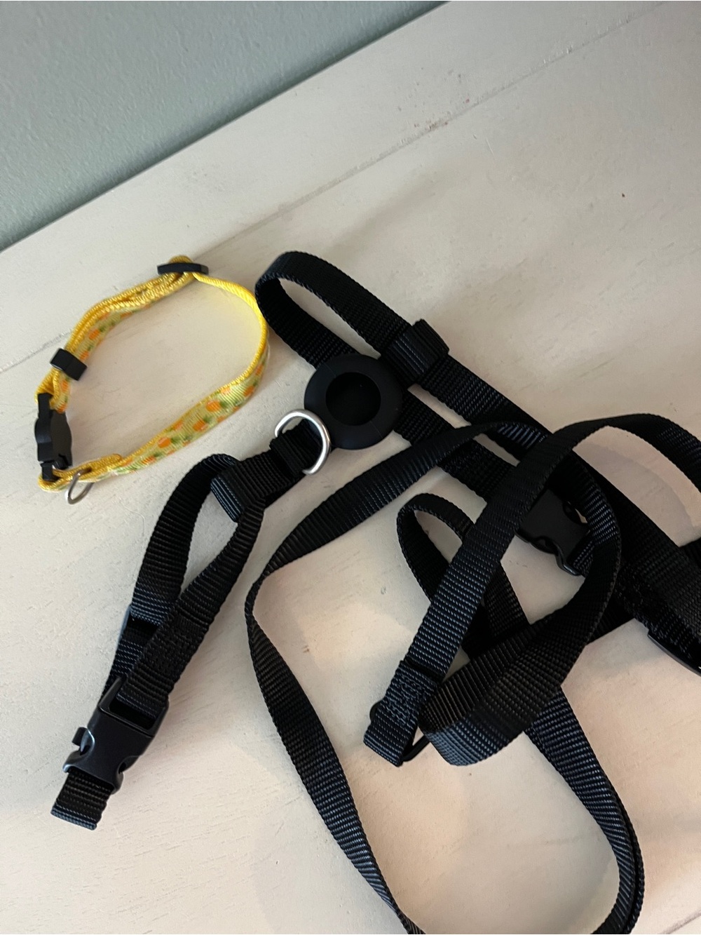 Cat collar and leash harness with AirTag holder